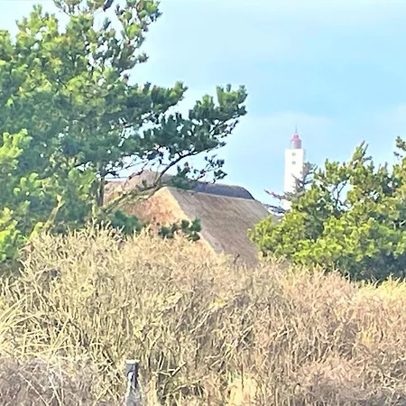 3 Bedroom Beautiful In Casa de Férias Blåvand